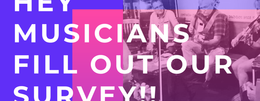 Musicians (or Aspiring Musicians)!  Fill out our Survey