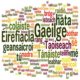 HIA Irish Language Lessons