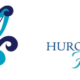 Huron Harp Fest – Goderich